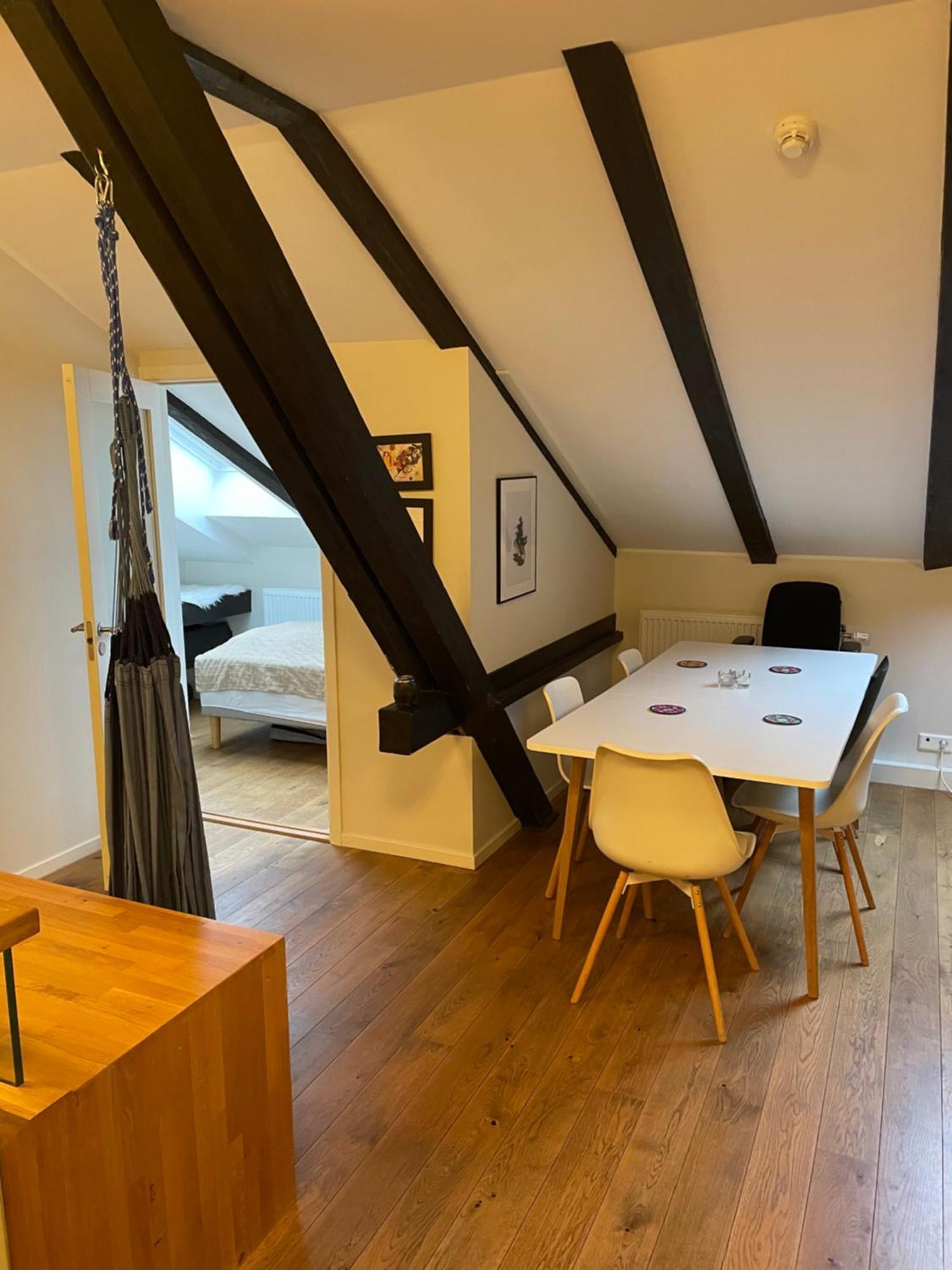 Lägenhet Stroken Loftleilighet Midt I Oslo. *